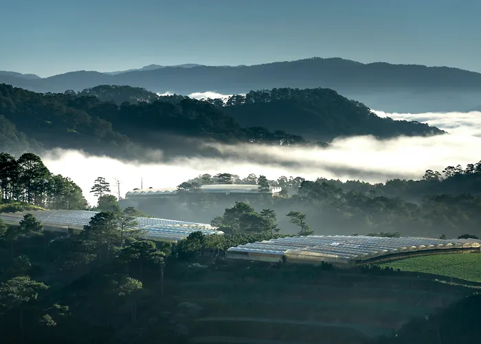 Broccoli'S House Hotel Da Lat