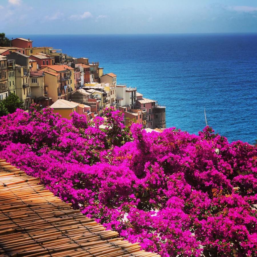 Junior Suite with Sea View,1007132623:JPEG