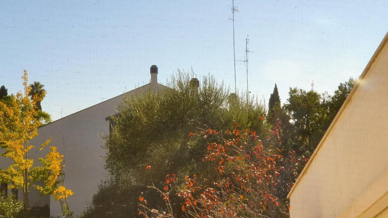 Camera Singola Standard con Bagno in Comune