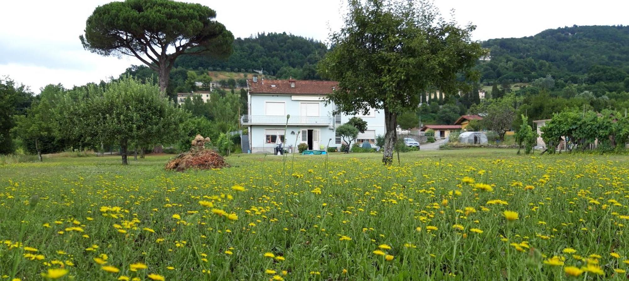 Camera Matrimoniale con Vista Giardino