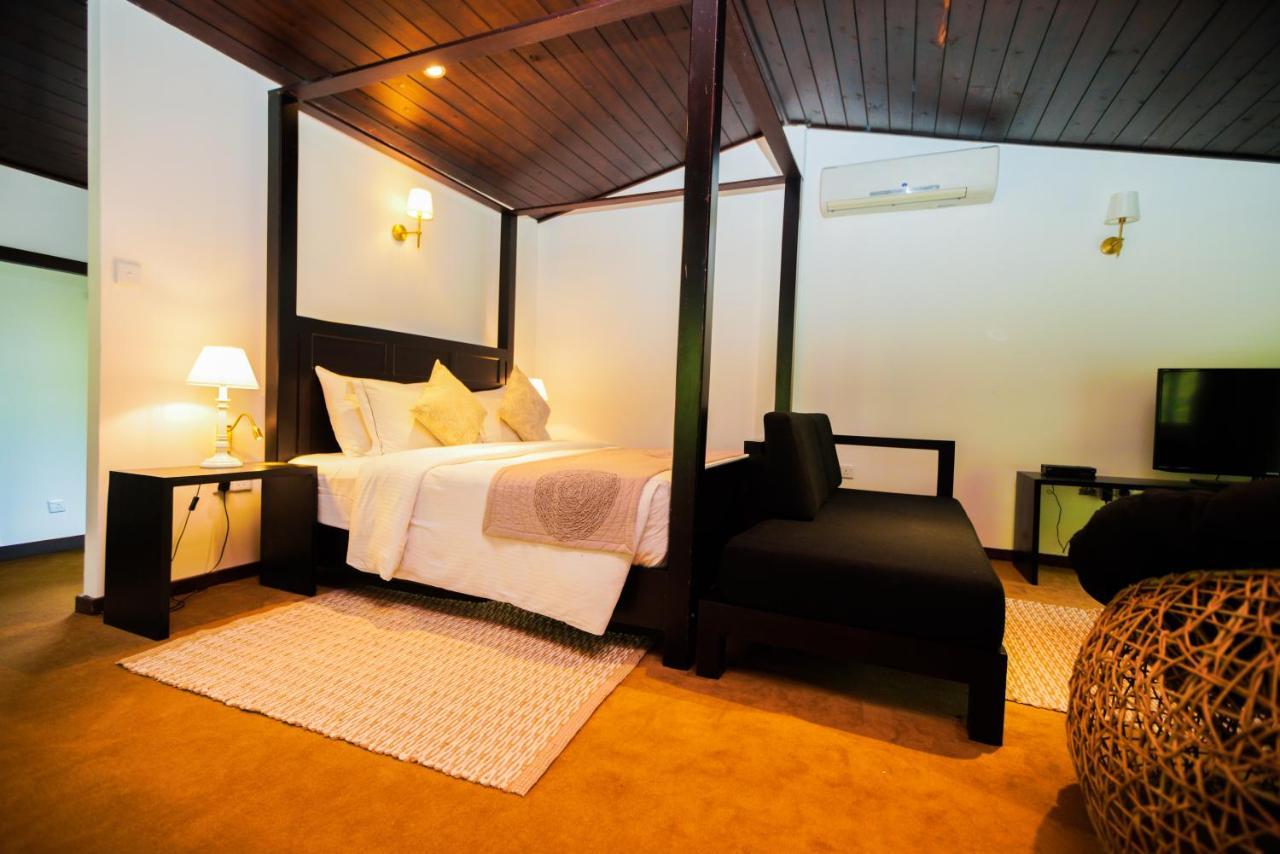 Studio with Forest View,1191411205:JPEG