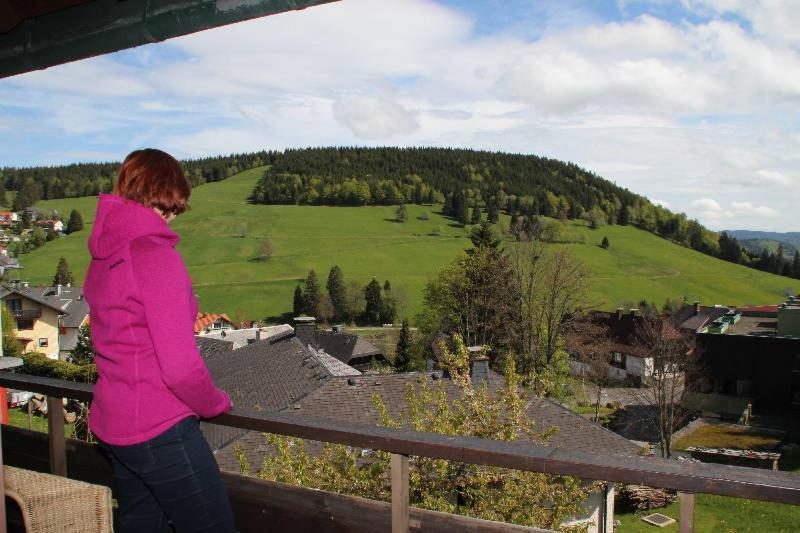 Studio mit Bergblick