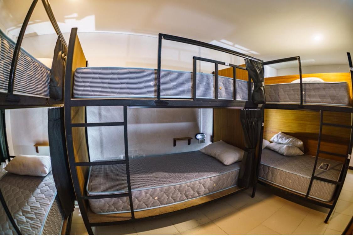 8-Bed Mixed Dormitory Room