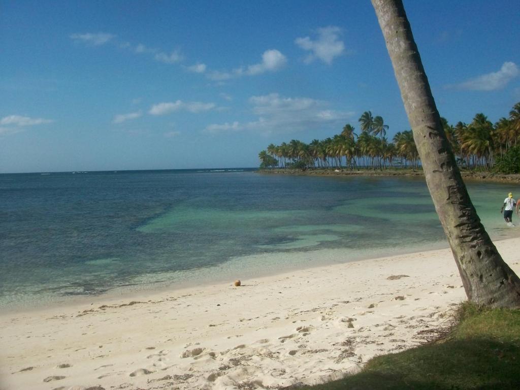 Cocunut Cottage,53306347:JPEG