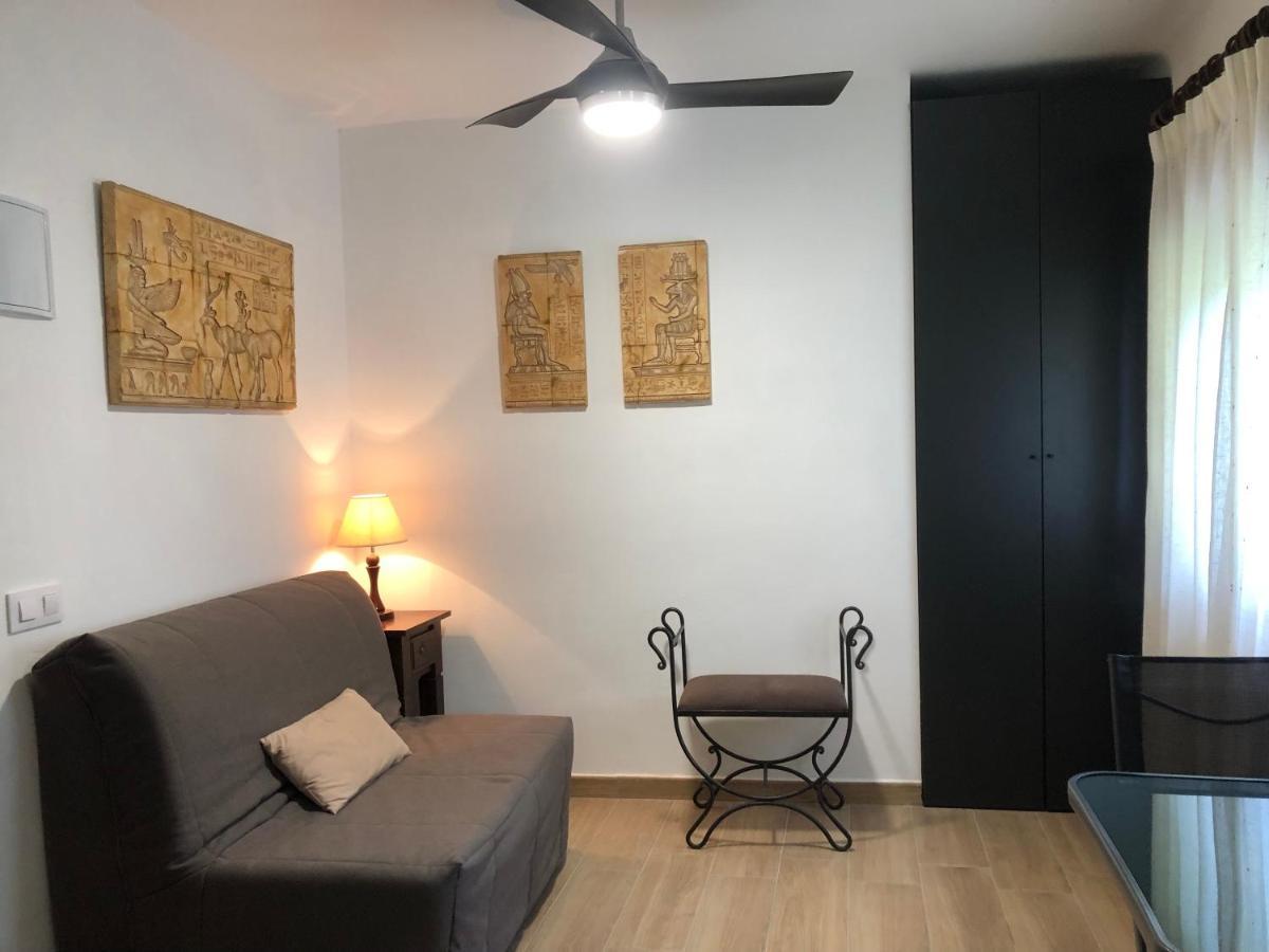 Estudio con cama extragrande y sofá cama