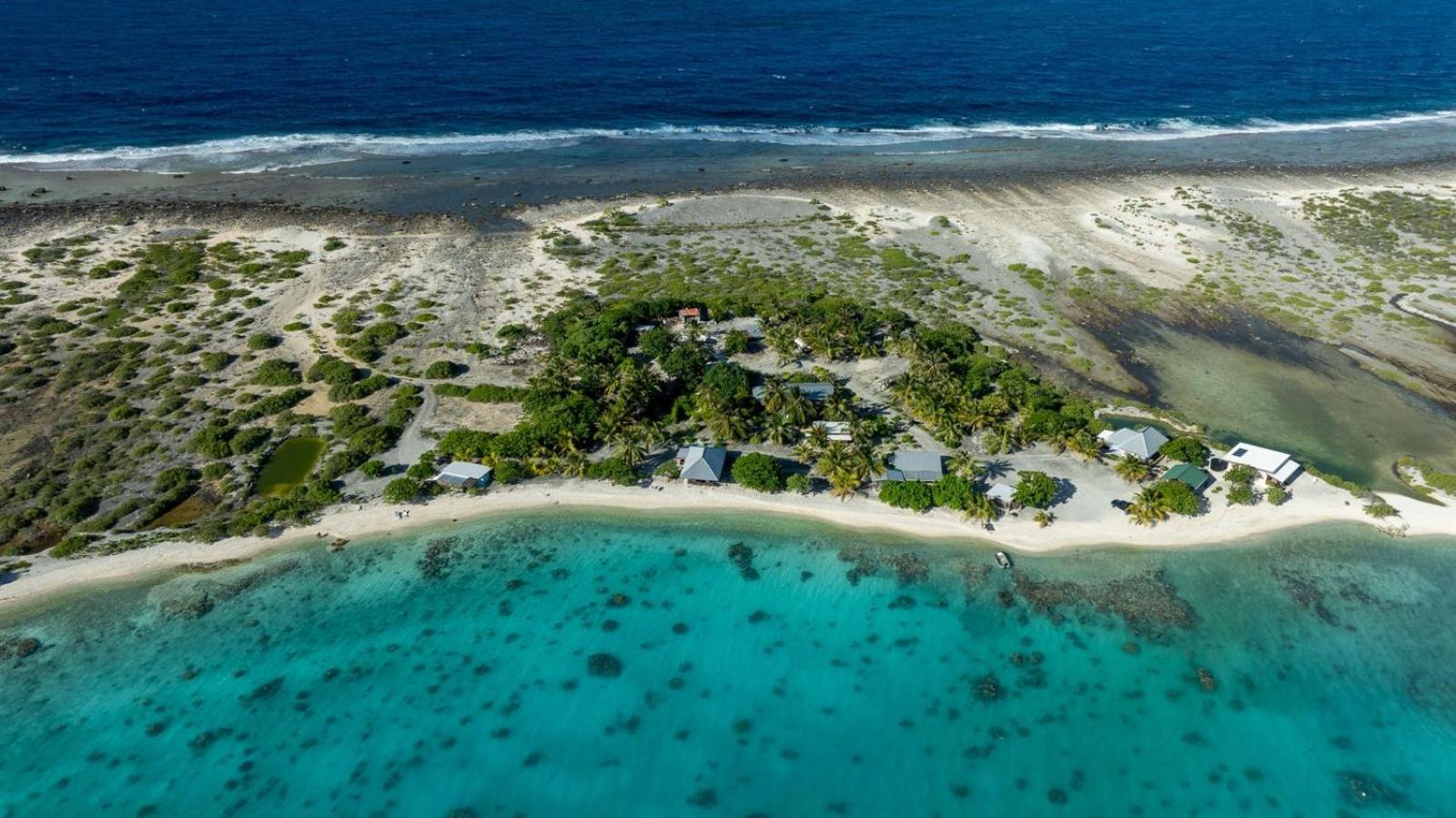 Bungalow - Côté Plage