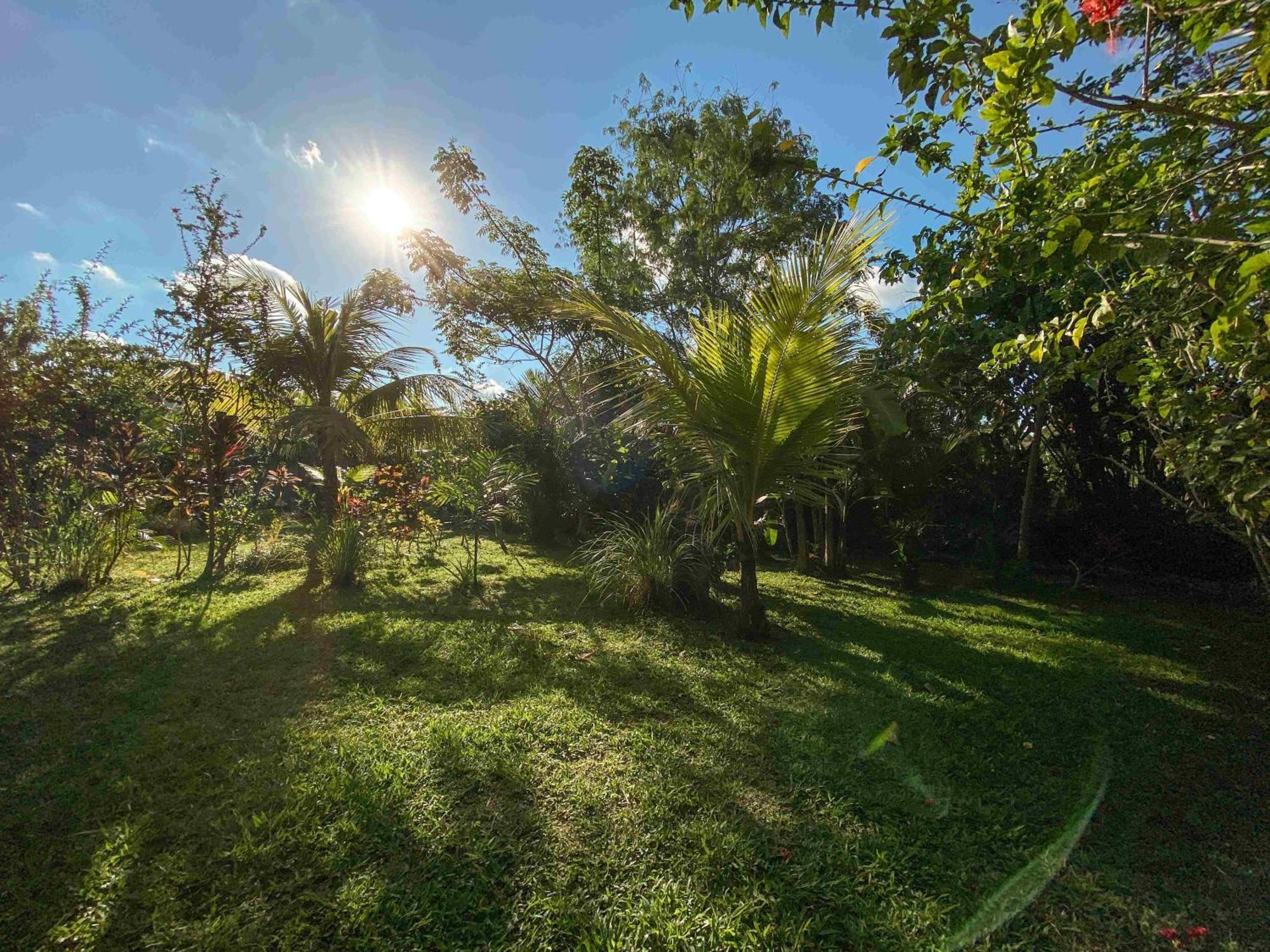 Deluxe One-Bedroom Apartment with Garden View