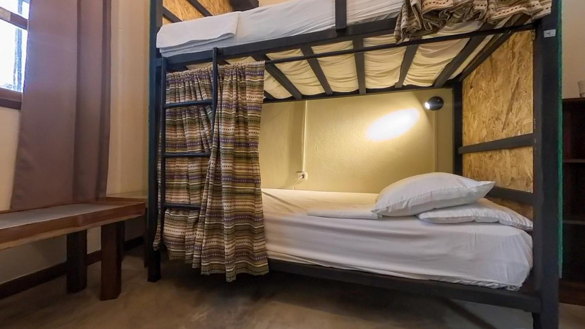 Single Bed Mixed Dormitory Room