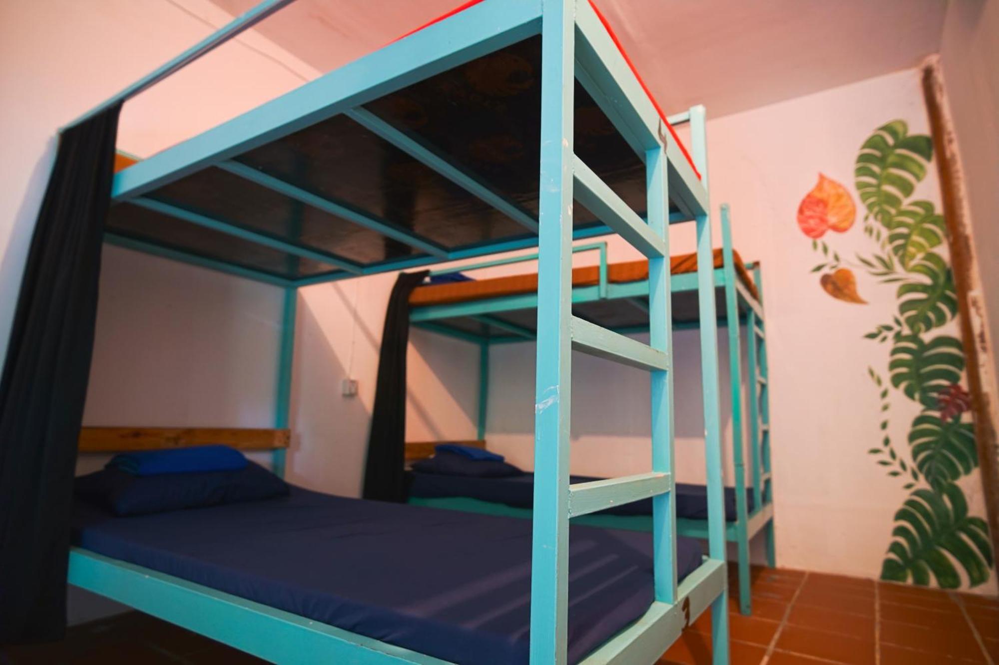 Bed in 6-Bed Mixed Dormitory Room