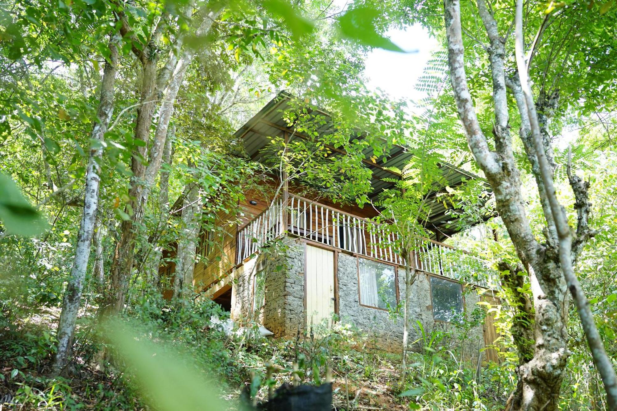 One-Bedroom Chalet (Annex)