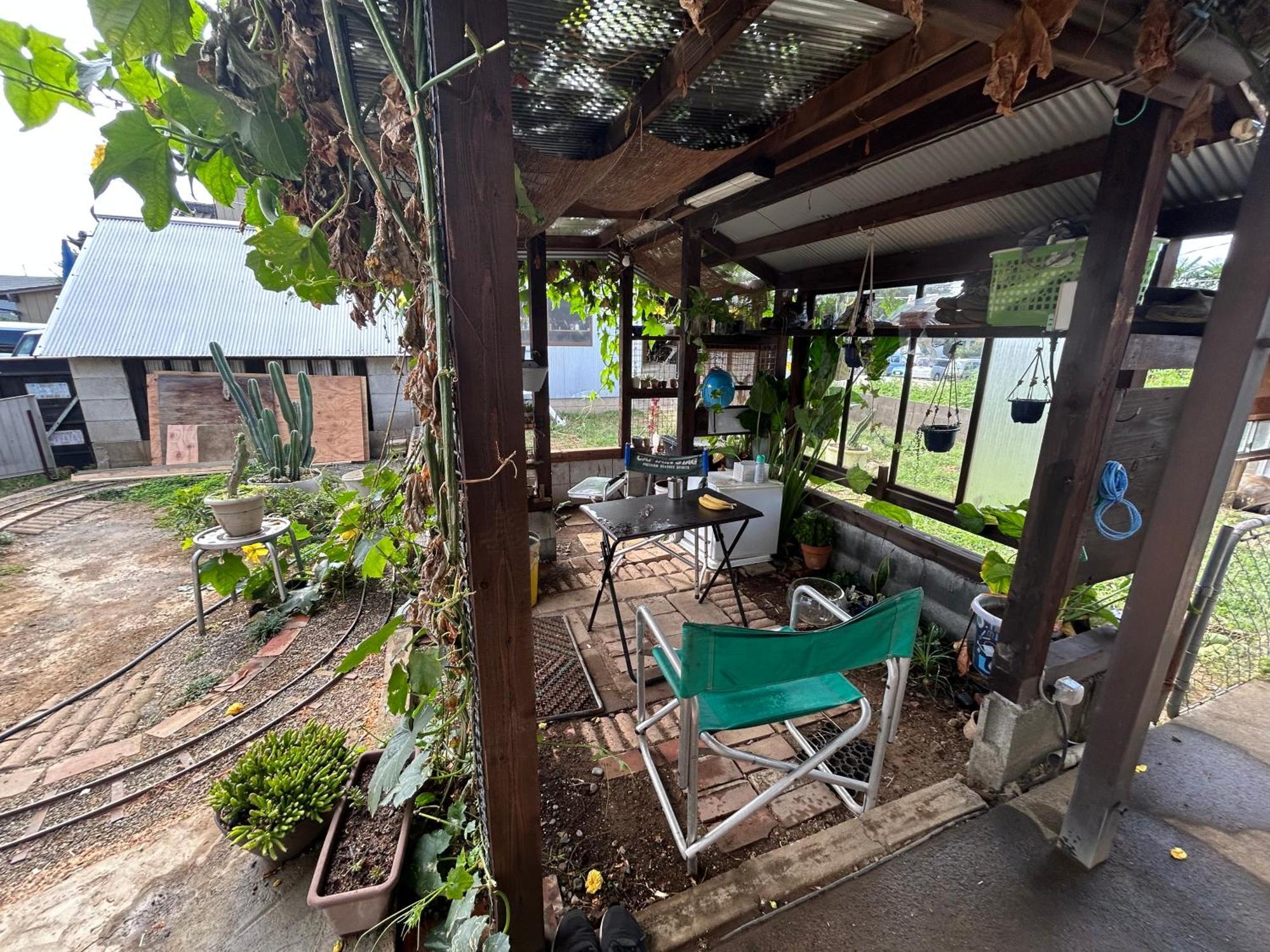 Single Room with Garden View