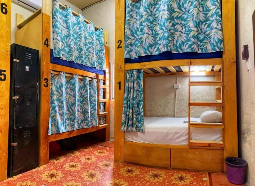 Single Bed in Female Dormitory Room