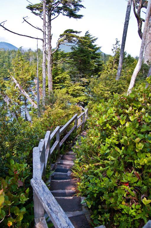 Standard Queen Room,689310423:JPEG