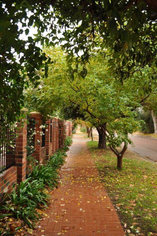 Luxury King Room,275245093:JPEG