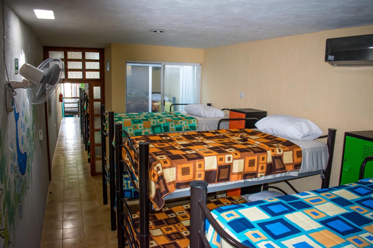 Cama en habitación compartida mixta de 6 camas