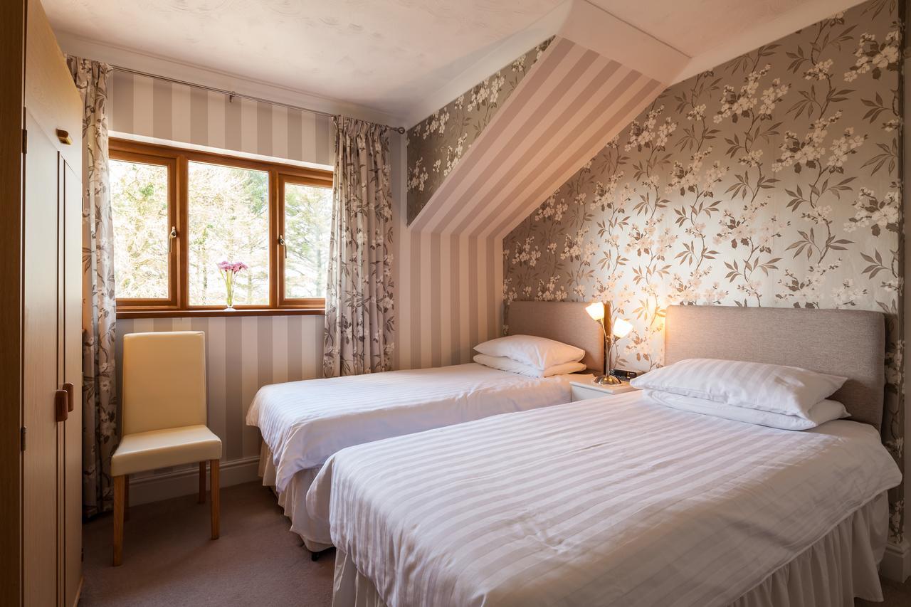 Superior Double or Twin Room,667308882:JPEG