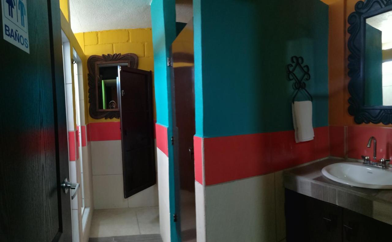 Single Bed in Mixed Dormitory Room