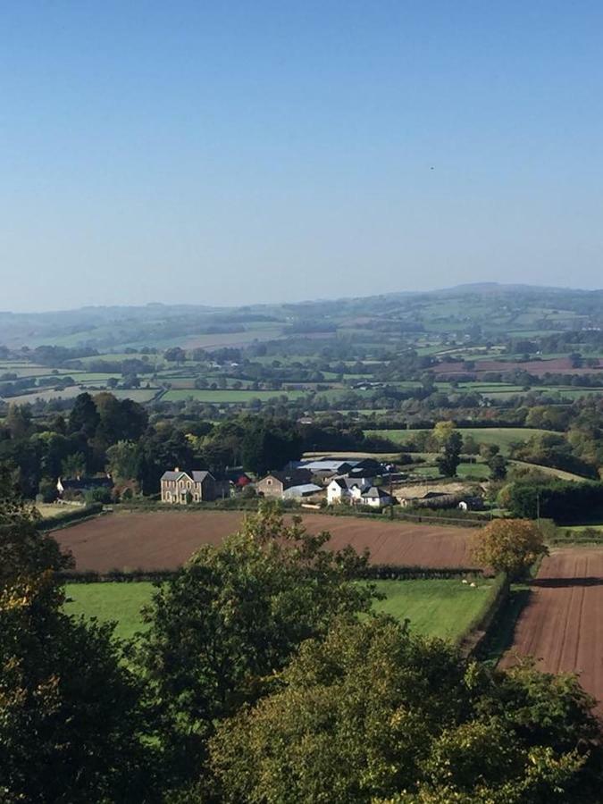 One-Bedroom House,883435159:JPEG