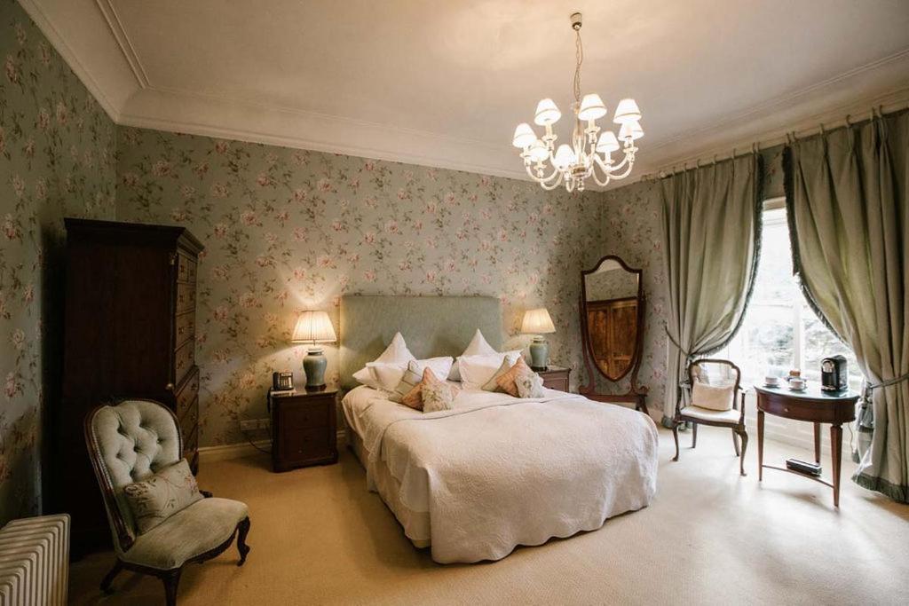 Superior King Room,998484378:JPEG