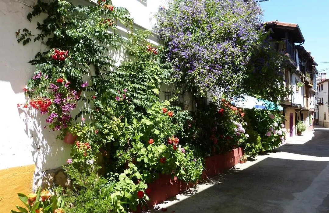 Hostal Candeleda-1