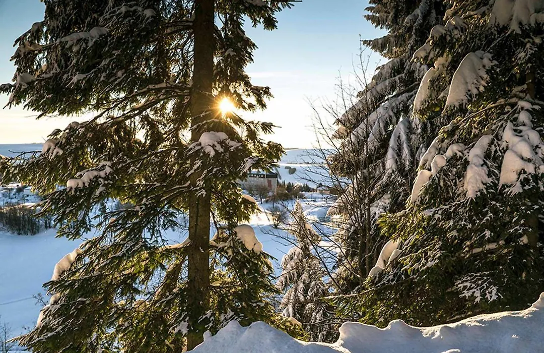Pension und Gaststätte Naturbaude Eschenhof-1