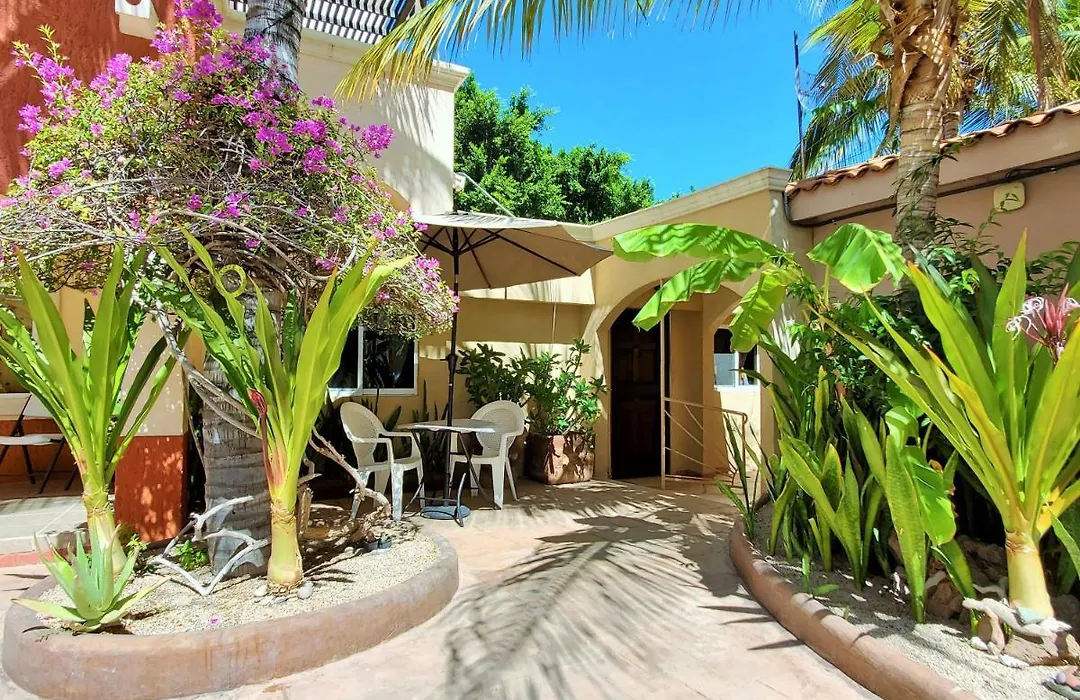 Coco Cabañas&Casitas Vacation Rentals-1