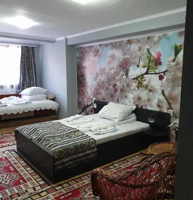 Vila Muntii Bucegi & Spa-1