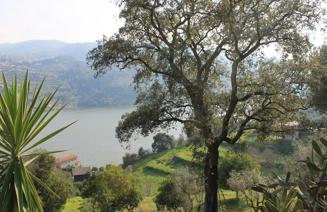 Quinta Das Quintas & Spa-1