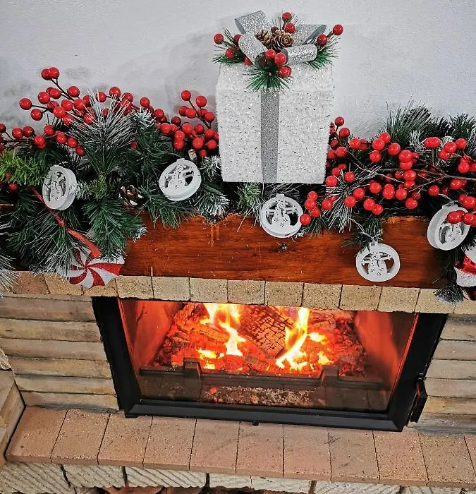 Pension Sf Nicolae-1
