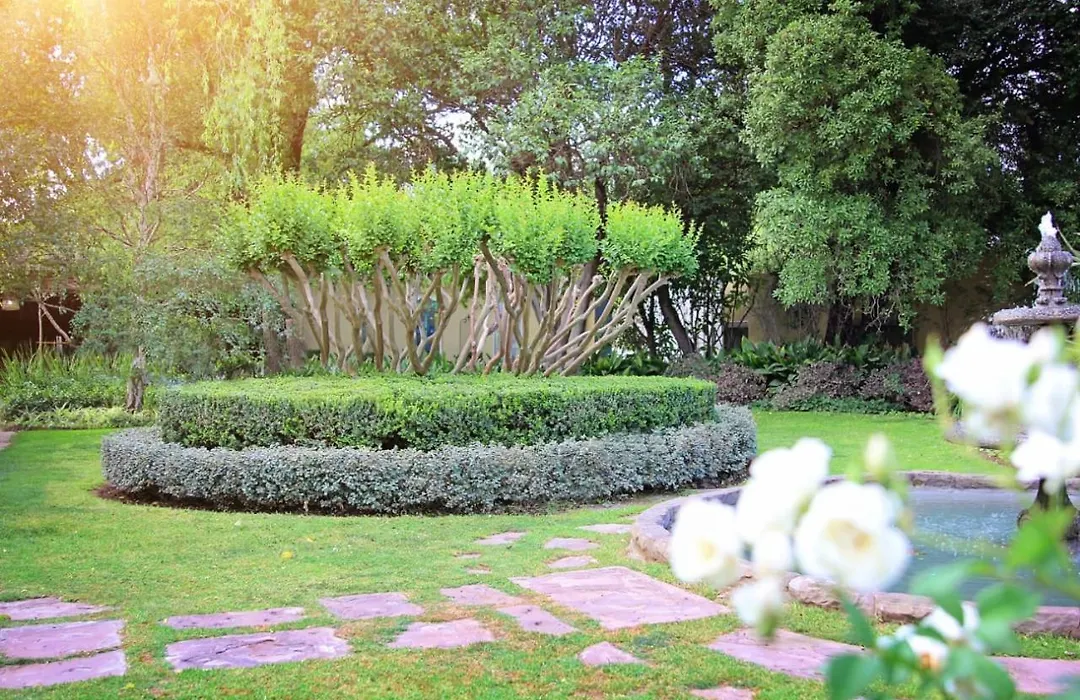 Roche House-1