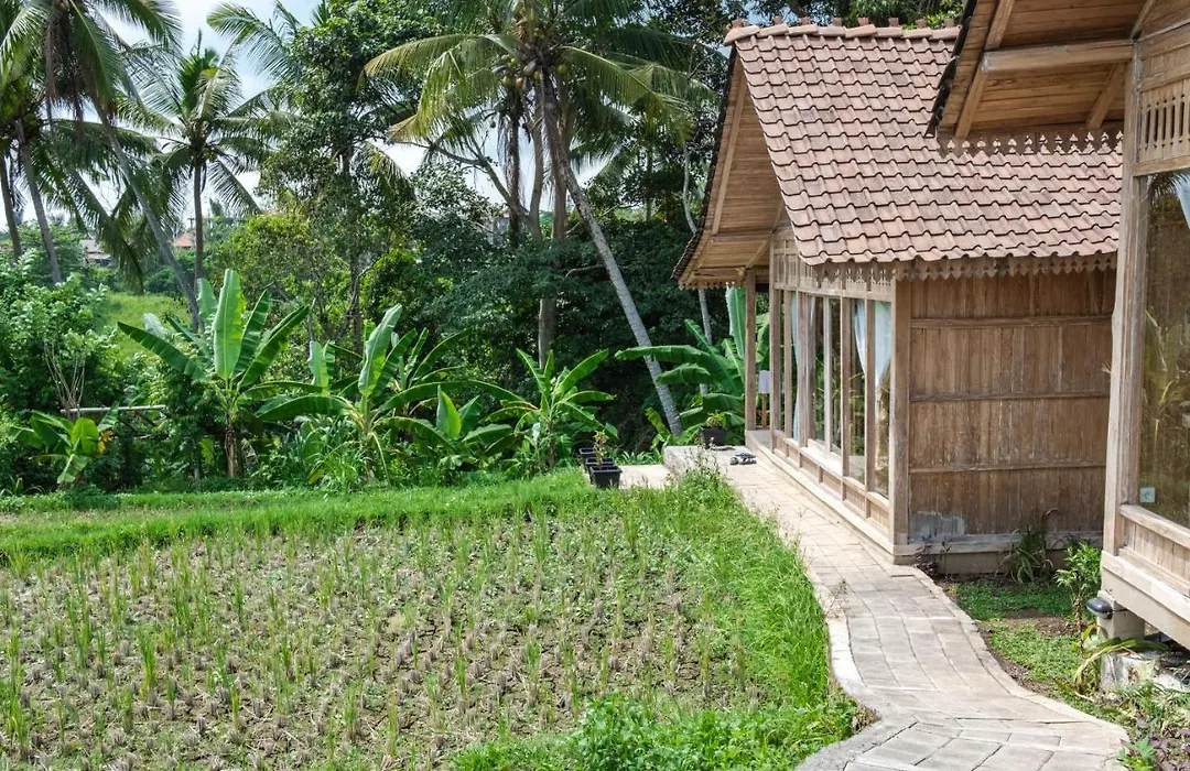 Kidem Ubud Villas-1