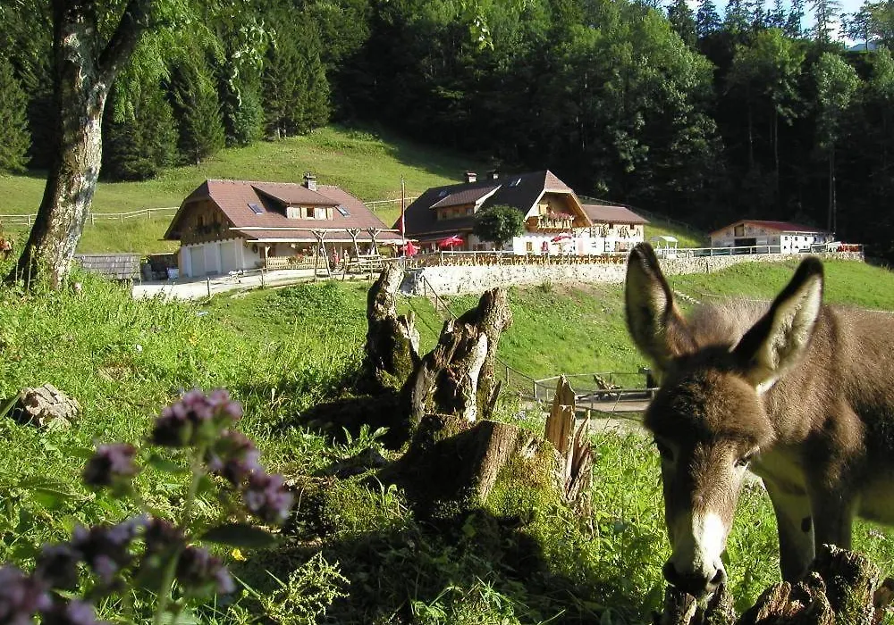 Ferienwohnung Hochsteinalm-1