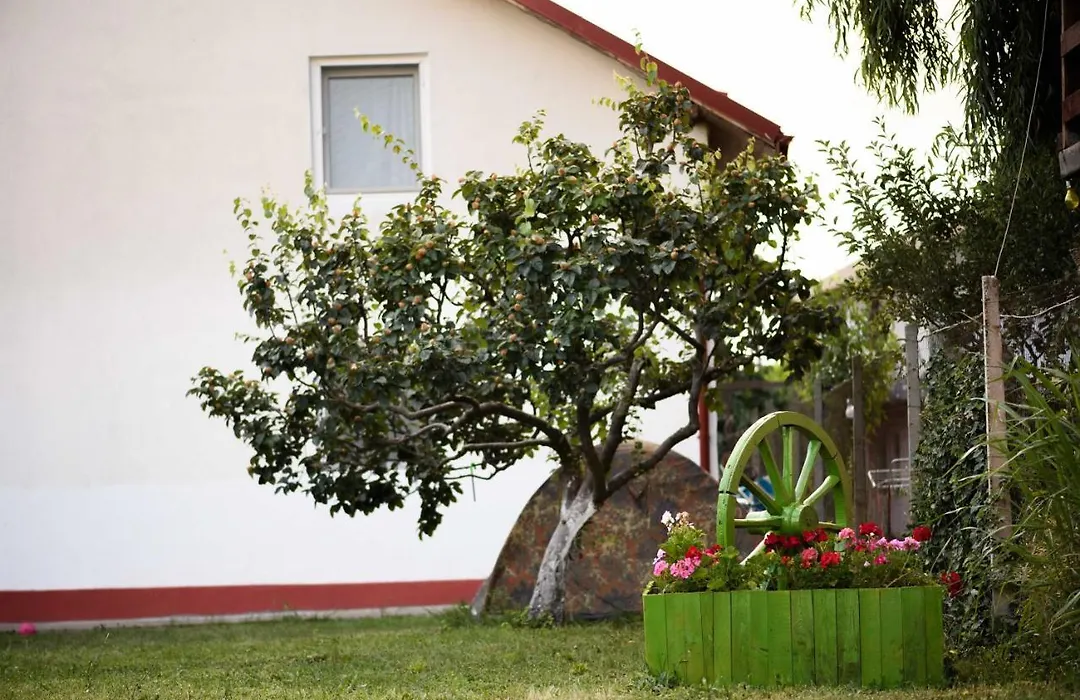 Vila Toate Panzele Sus-1