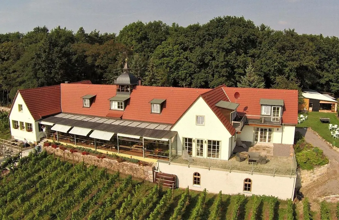Pension Bella Vista - Winzerhof Golk-1