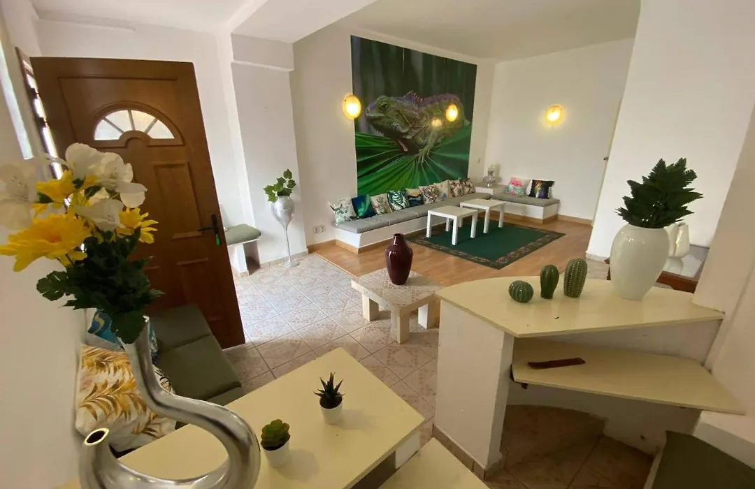 Iguana Guesthouse-1