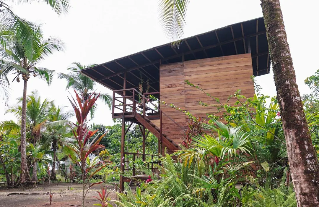 The Pelican House Hostel-1