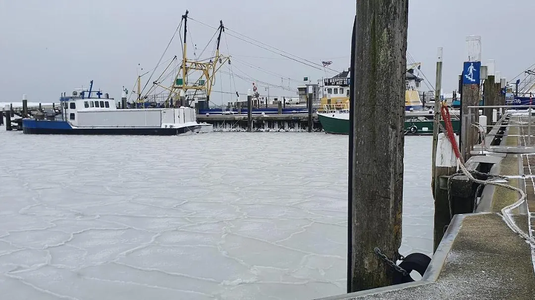 Hunsingo Texel-1