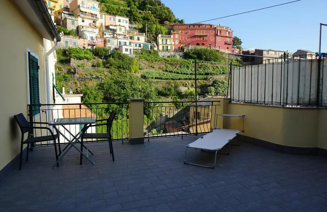 Il Cavalluccio Marino-1