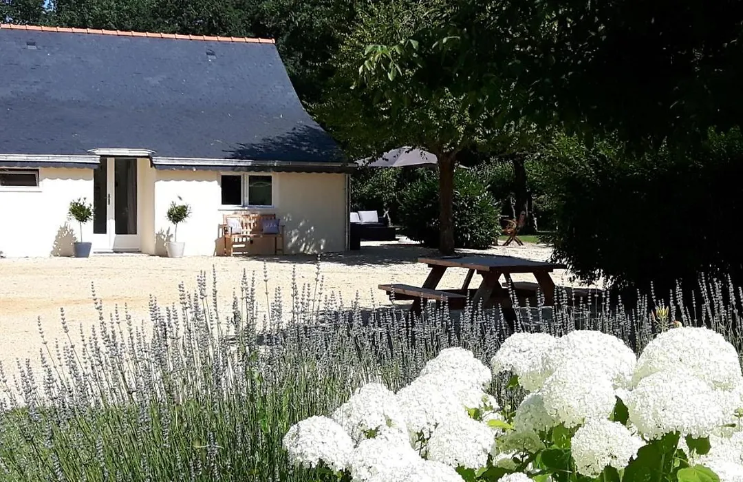 Chateau La Mothaye - Self Catering Apartments With Pool In The Loire Valley-1