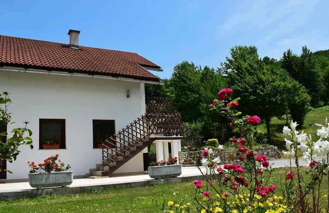Rooms Ruza-1