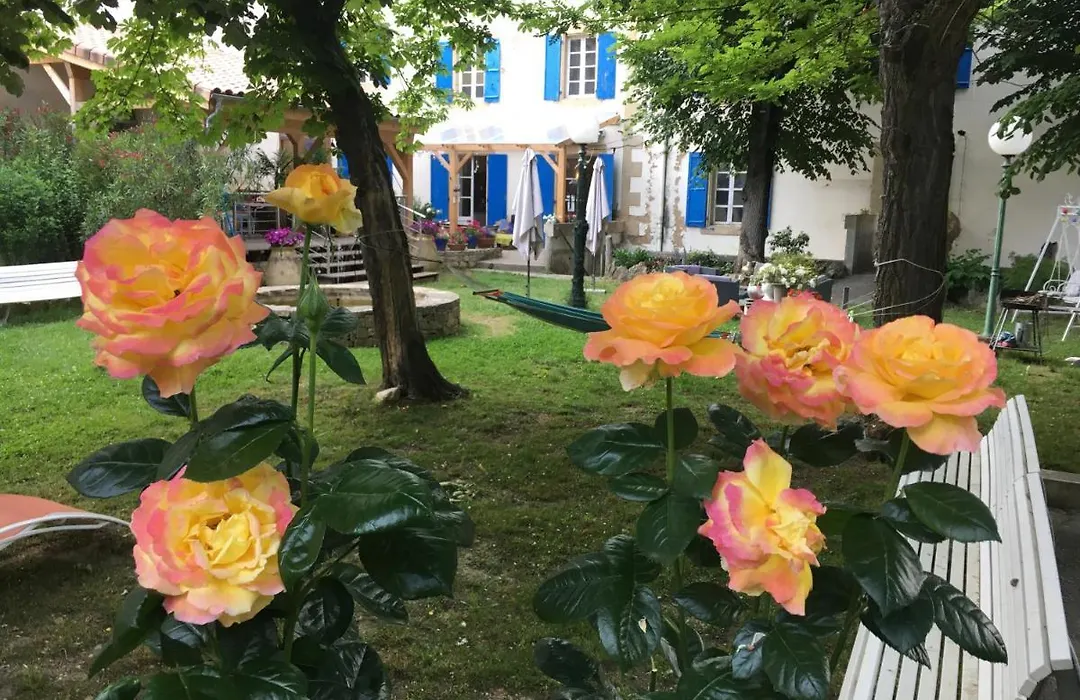 La Vie en Roses-1
