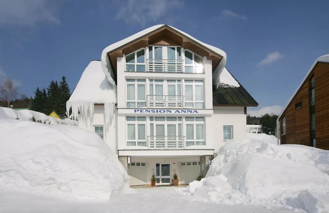 Pension Anna-1