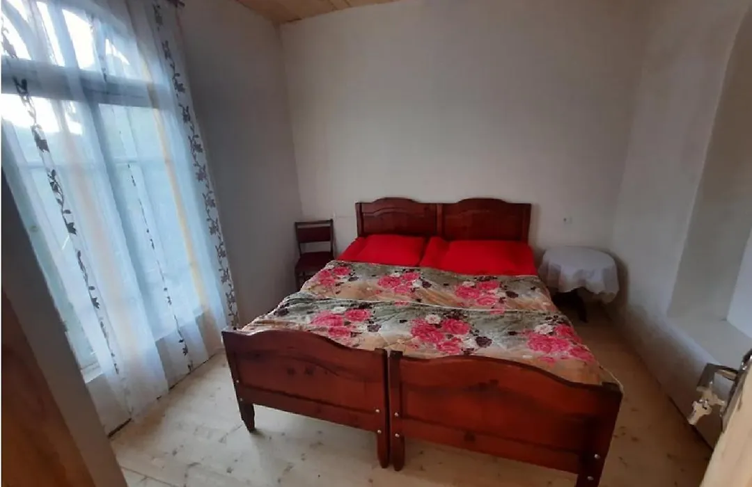 Nino & Tarzan Guesthouse-1