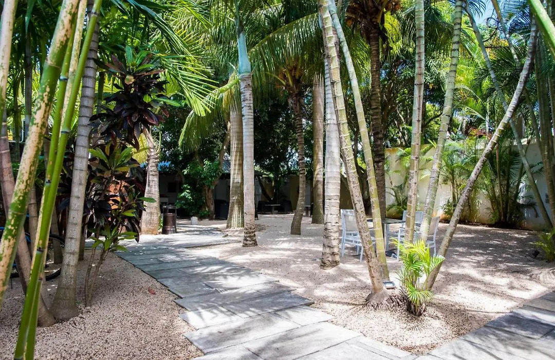 La Margarita-1