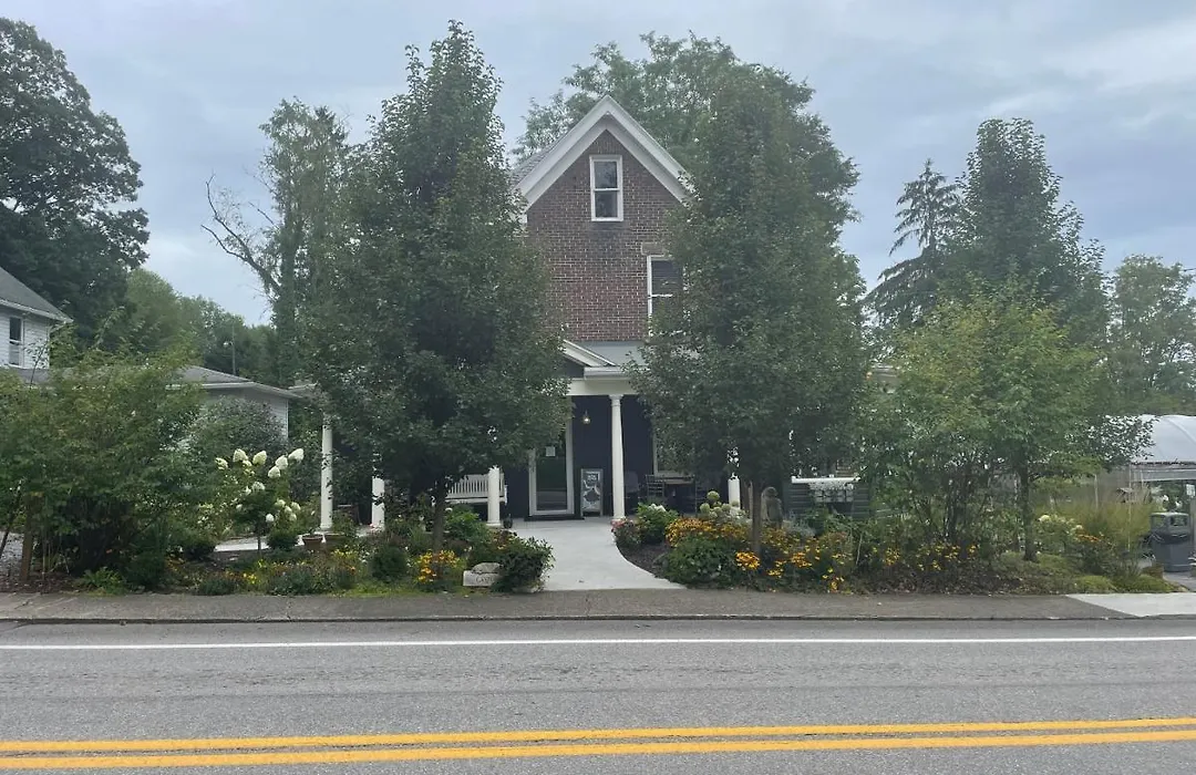 Modern Homestead Guest House-1