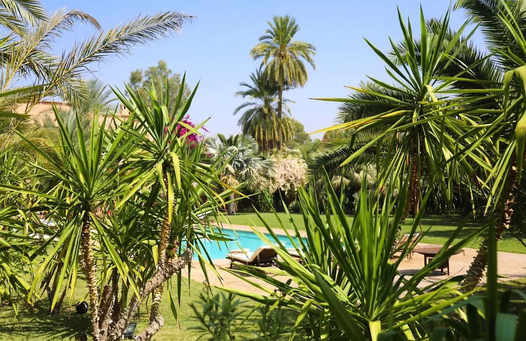 Villa Le Perroquet Bleu-1