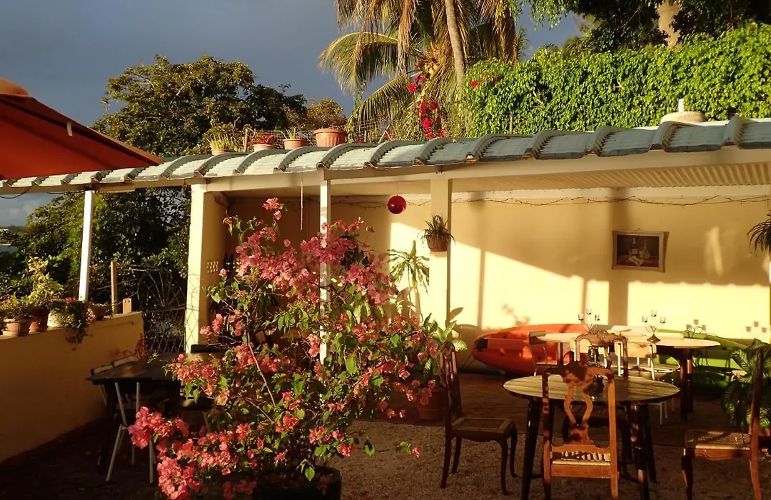 Le Cactus Guesthouse-1