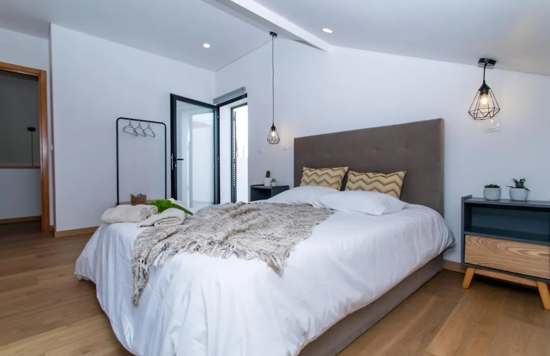 Carvão PDL Inn-1