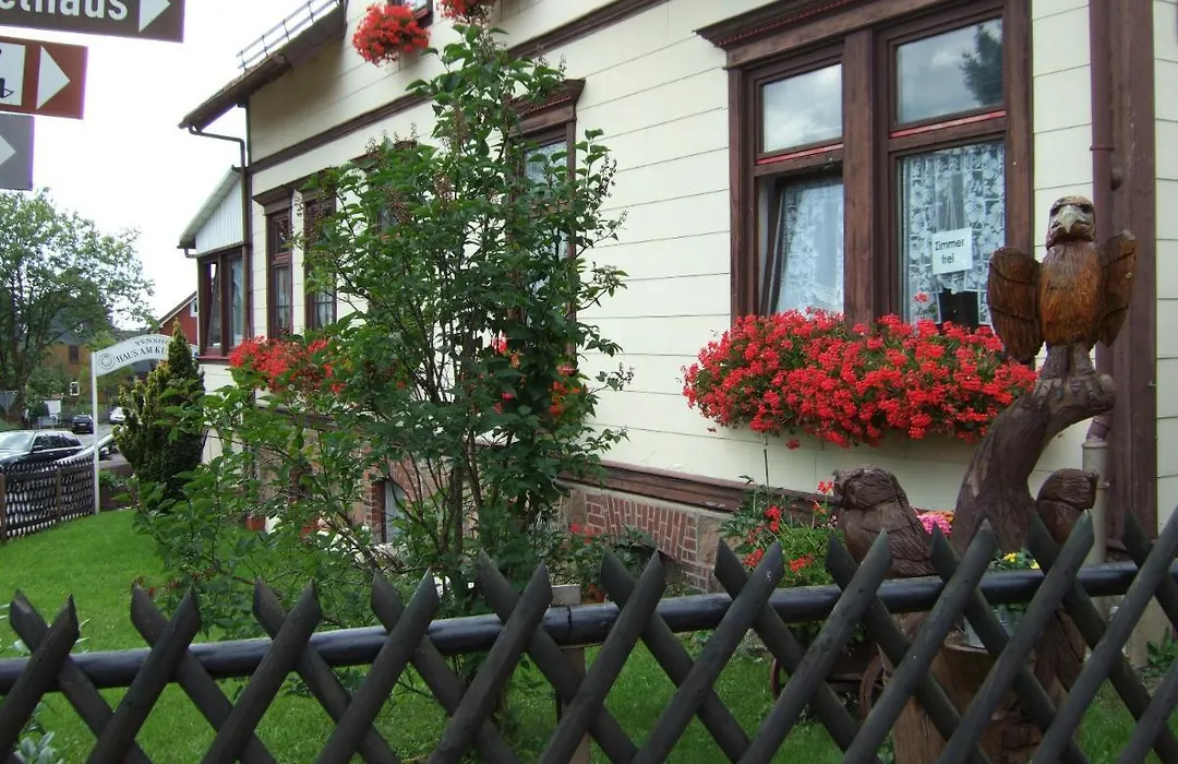 Haus am Kurpark-1