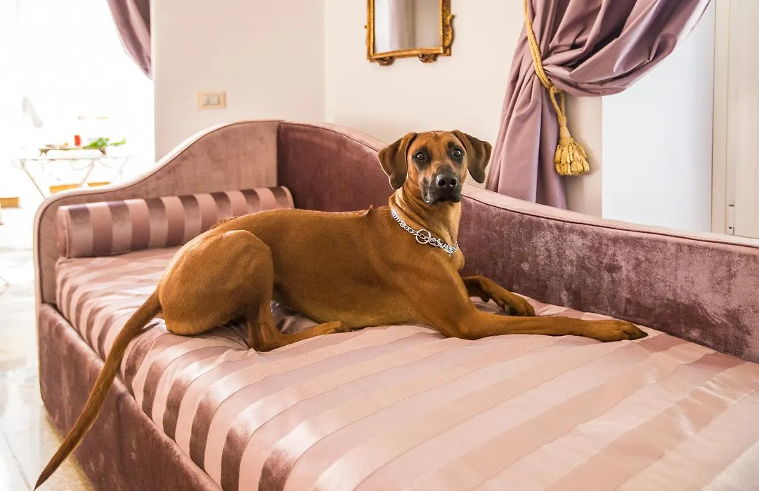 Trastevere Royal Suite-1